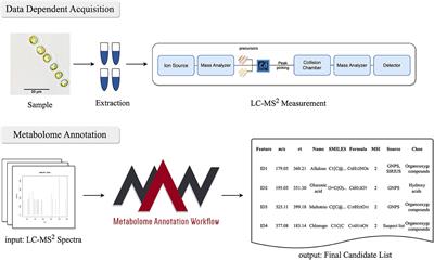 Untargeted metabolomics to expand the chemical space of the marine diatom Skeletonema marinoi
